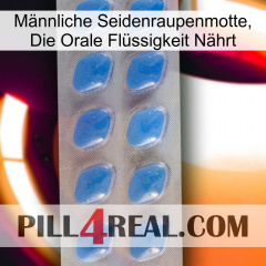 Männliche Seidenraupenmotte, Die Orale Flüssigkeit Nährt 22